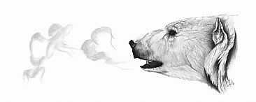 Arctic Air - Polar Bear  by Stuart Arnett